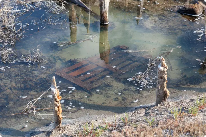 A submerged wooden pallet in a murky, shallow pond with surrounding dry vegetation and partially submerged tree stumps.