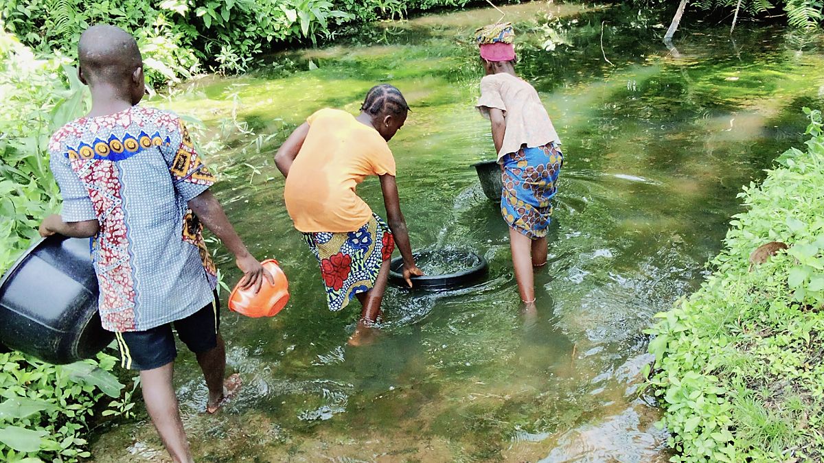 Three children wade into a shallow, green stream in Bara community, Nigeria, filling bowls and buckets with untreated water.